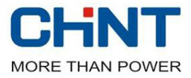 chint